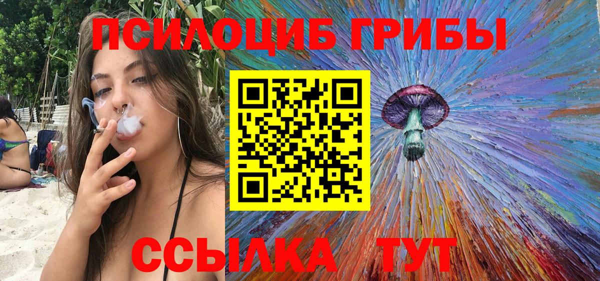 Галлюциногенные грибы Psilocybe  Вход с VPN  Кудымкар 