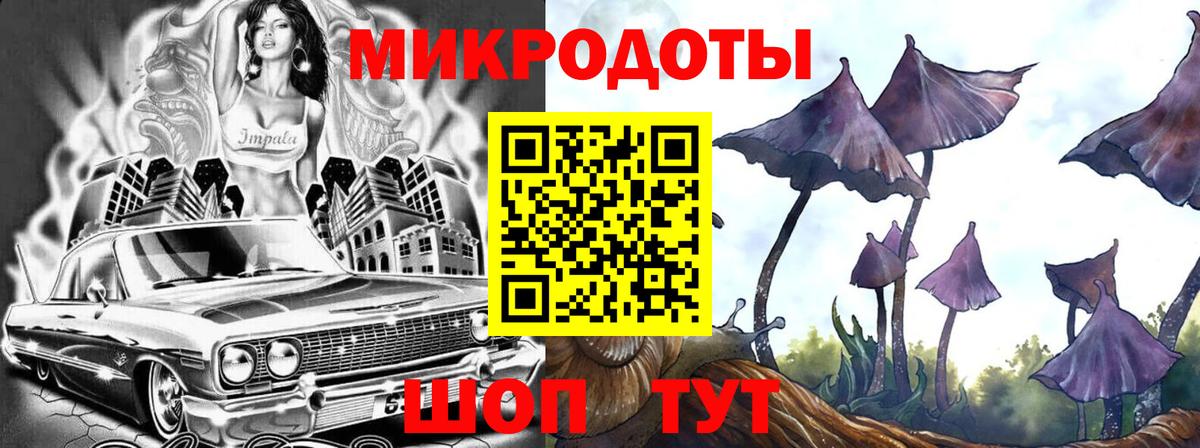 Псилоцибиновые грибы прущие грибы Кудымкар